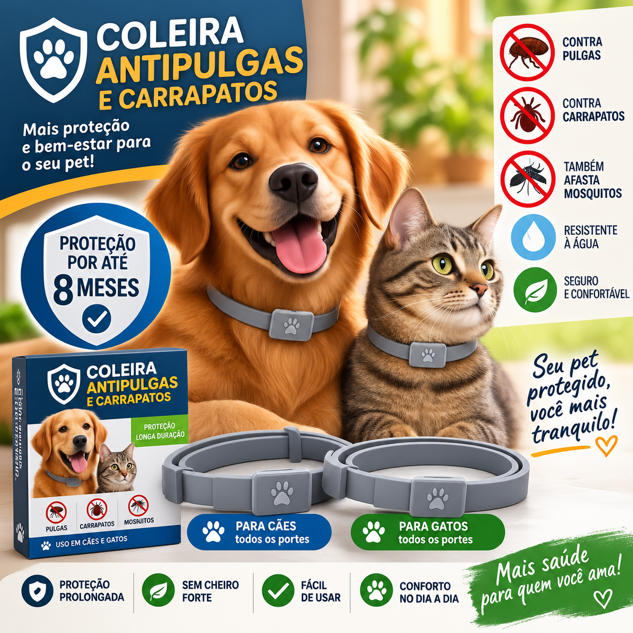 Oferta especial!